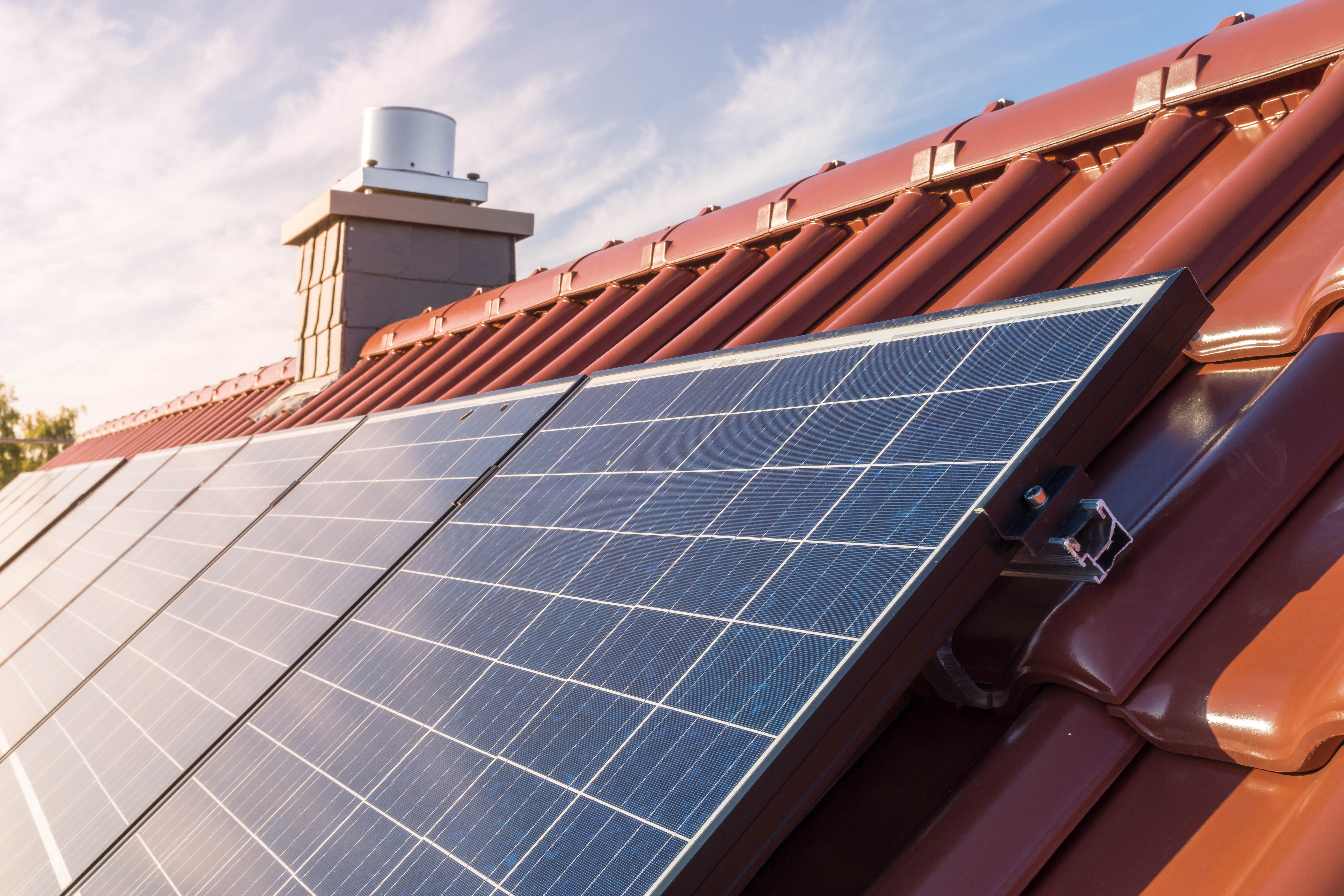 Rooftop Rumours: Are Solar Panels Environmentally… Unfriendly?