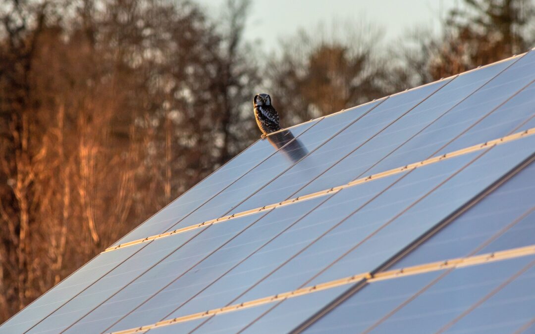 Are Solar Panels Less Effective In Winter?