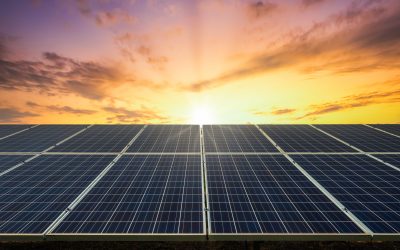 Illuminating Success: Solar Solutions Tailored for Australian SMEs