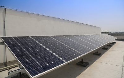 Solar Panel Maintenance 101: Ensuring Long-Term Performance for Australian Businesses