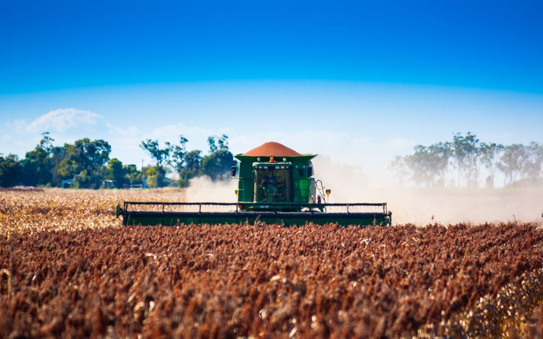 Solar Power in Australian Agriculture: Enhancing Farm Sustainability