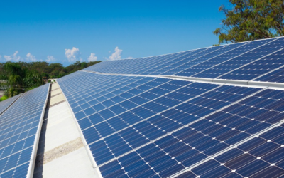 Unveiling the Sunshine State’s Brightest Tourist Attraction: Solar Power